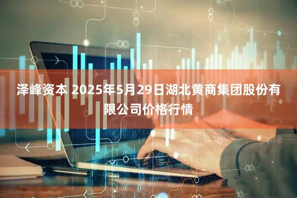 泽峰资本 2025年5月29日湖北黄商集团股份有限公司价格行情