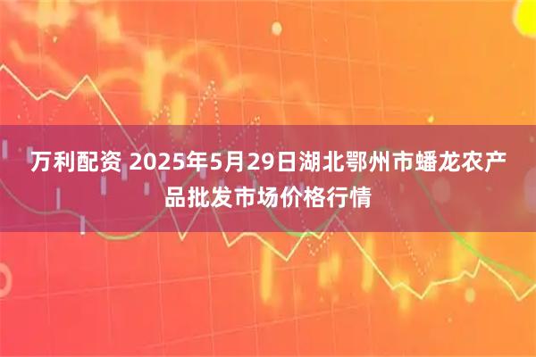 万利配资 2025年5月29日湖北鄂州市蟠龙农产品批发市场价格行情