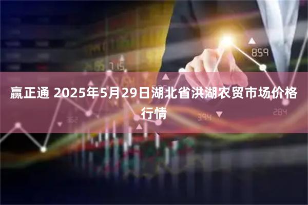 赢正通 2025年5月29日湖北省洪湖农贸市场价格行情