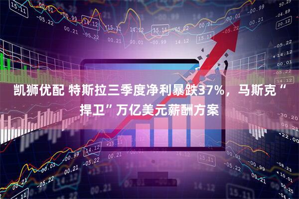 凯狮优配 特斯拉三季度净利暴跌37%，马斯克“捍卫”万亿美元薪酬方案