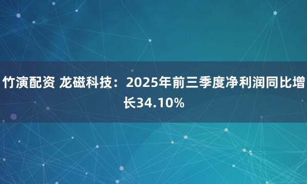 竹演配资 龙磁科技：2025年前三季度净利润同比增长34.10%