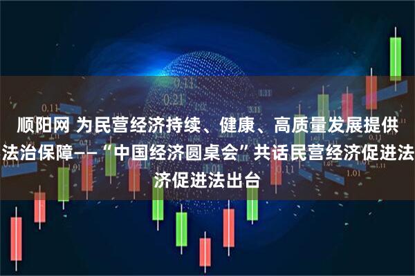 顺阳网 为民营经济持续、健康、高质量发展提供坚实法治保障——“中国经济圆桌会”共话民营经济促进法出台